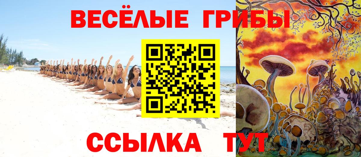 Касимов  Галлюциногенные грибы ЛСД  Вход с VPN 